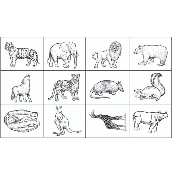 Carimbo Animais Selvagens