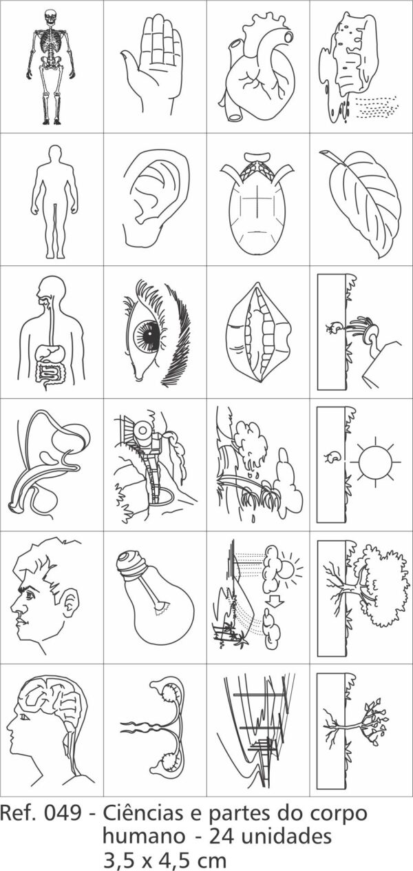 Carimbo Ciências e Partes do Corpo Humano