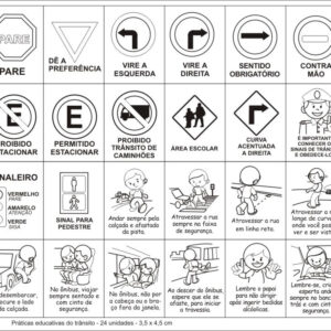 Carimbo Práticas Educativas do Trânsito
